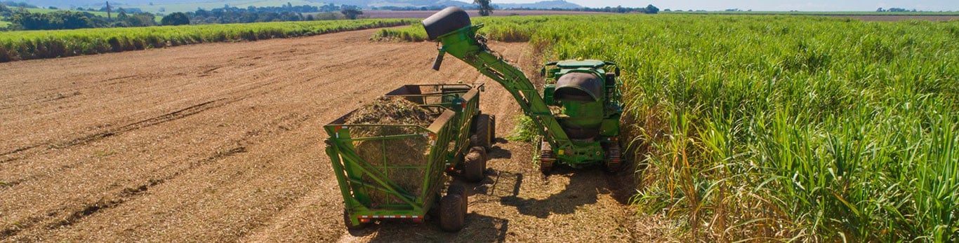 Vista aérea de una cosechadora de caña de azúcar descargando su carga en un remolque en un campo agrícola soleado.