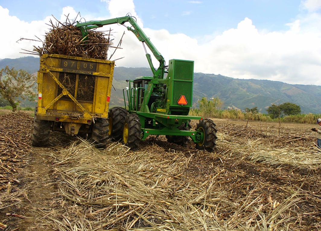 Cargadora de caña 2254 en el campo.
